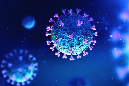 coronavirus